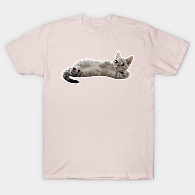 Cute Cat T-Shirt by dankdesigns